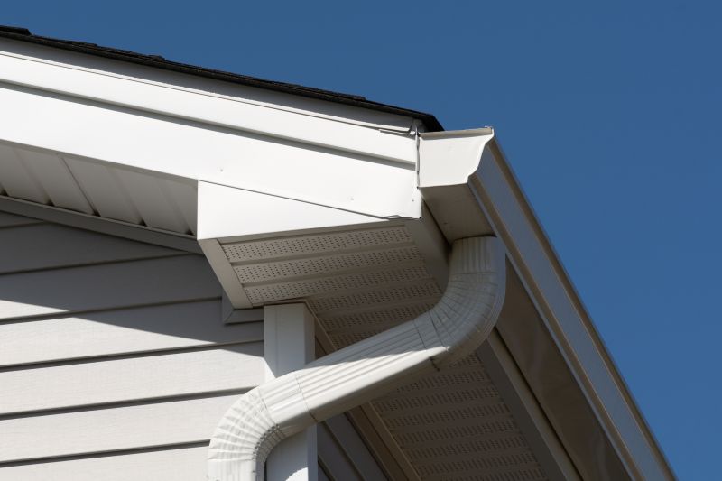 Fascia Replacement in Conroe, TX